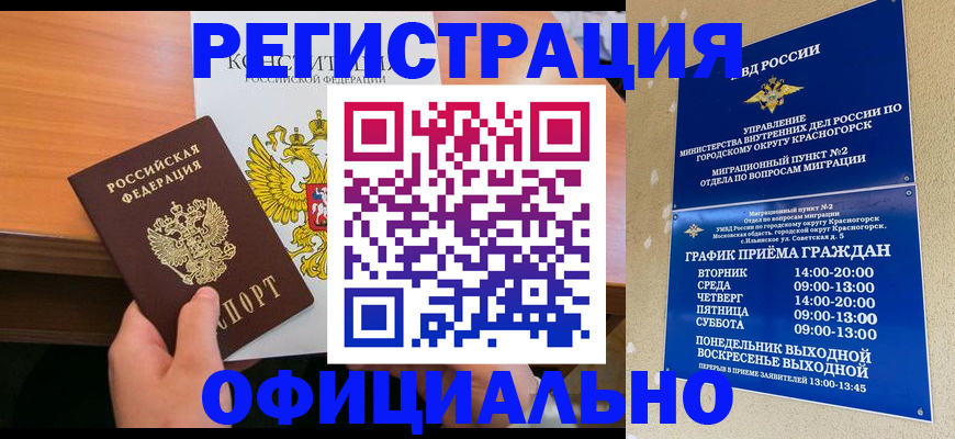 временная регистрация для всех в Щёлково